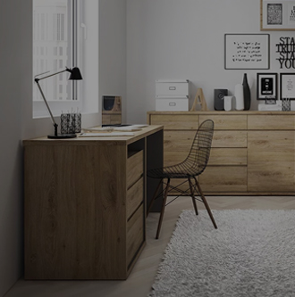 Familia Muebles para oficina en casa