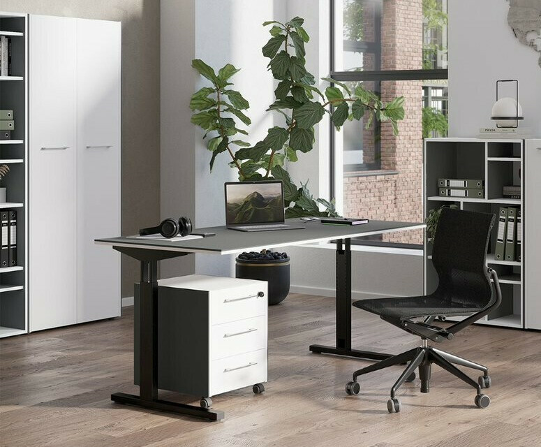 Colección de muebles Fivcalu