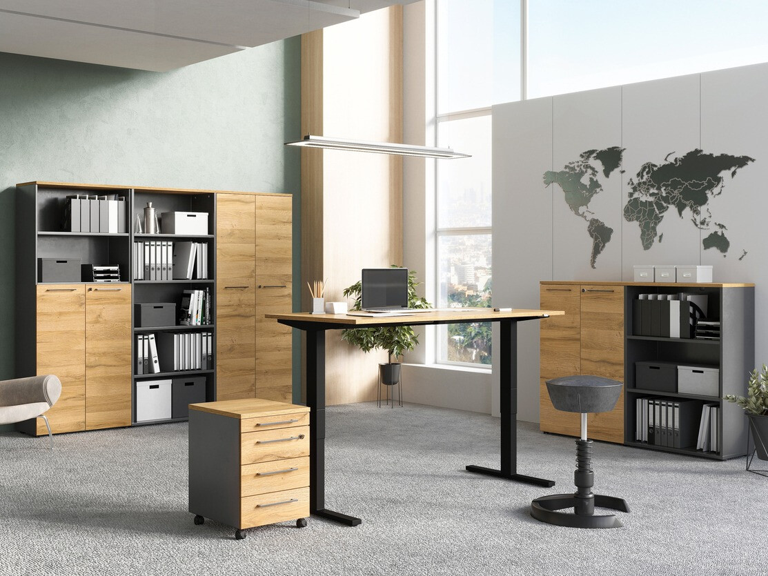 Archivador Eliromo 107 (Grafito + Roble nieto)