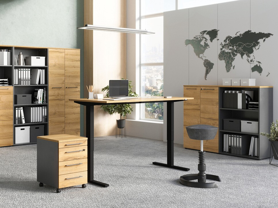 Estantería Eliromo 101 (Grafito + Roble nieto)