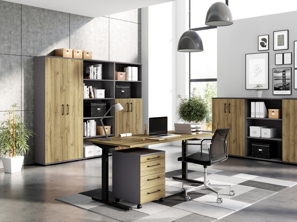 Estantería Lartesi 104 (Grafito + Roble nieto)