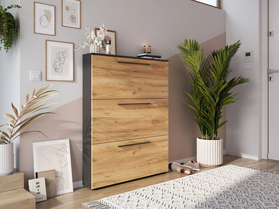 Zapatero Sacramento 350 (Navarra roble + Garfitas)