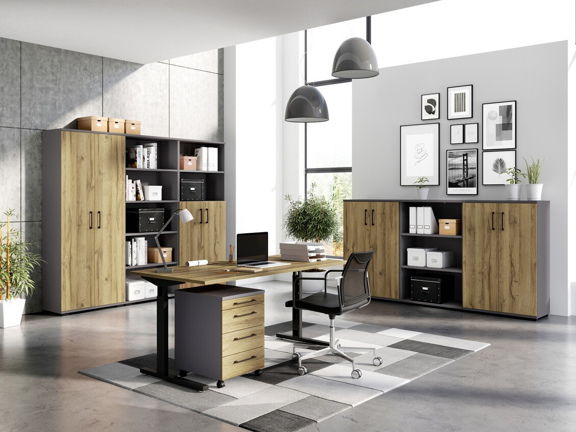 Estantería Lartesi 103 (Grafito + Roble nieto)