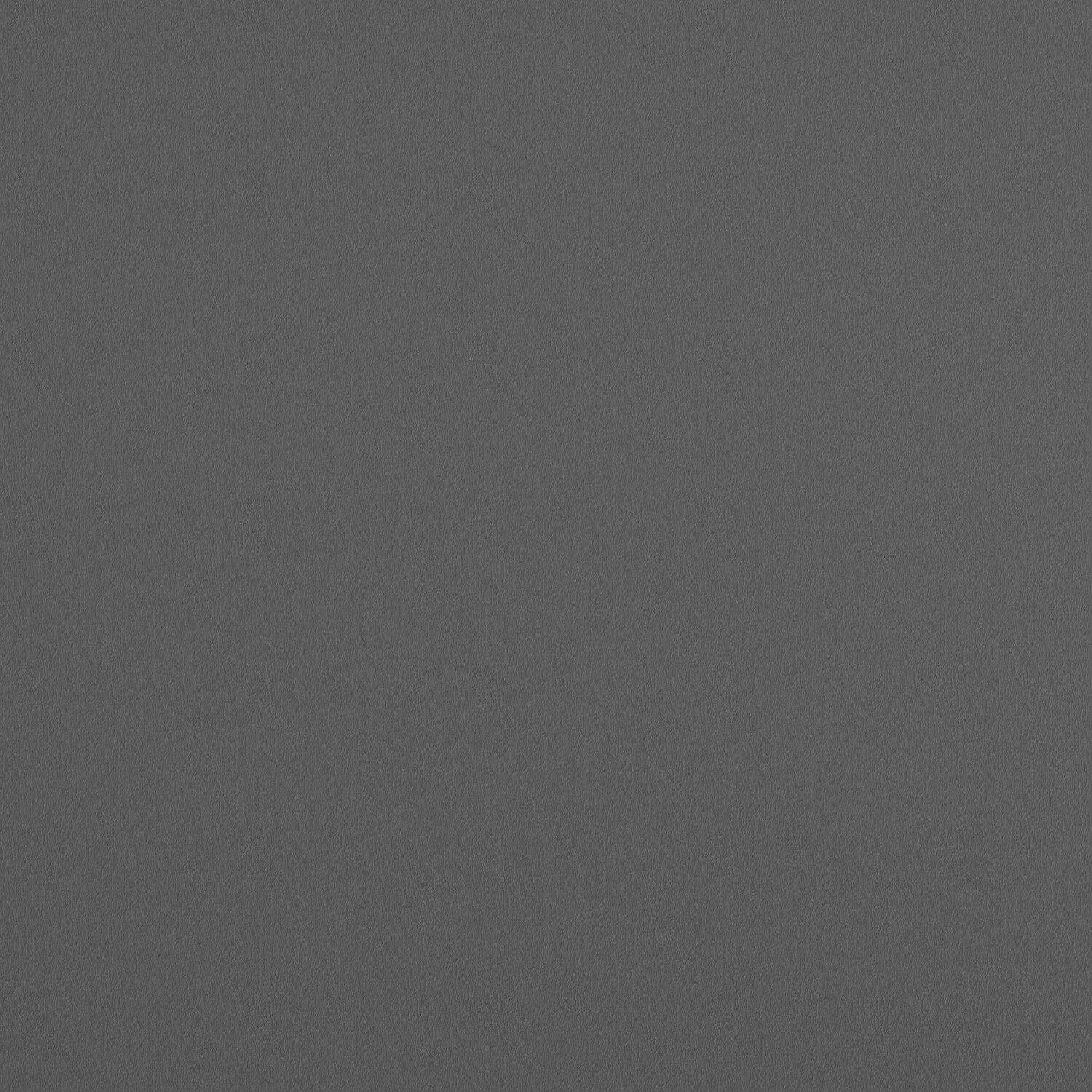 Sofá-cama Novogratz 169 (Gris)