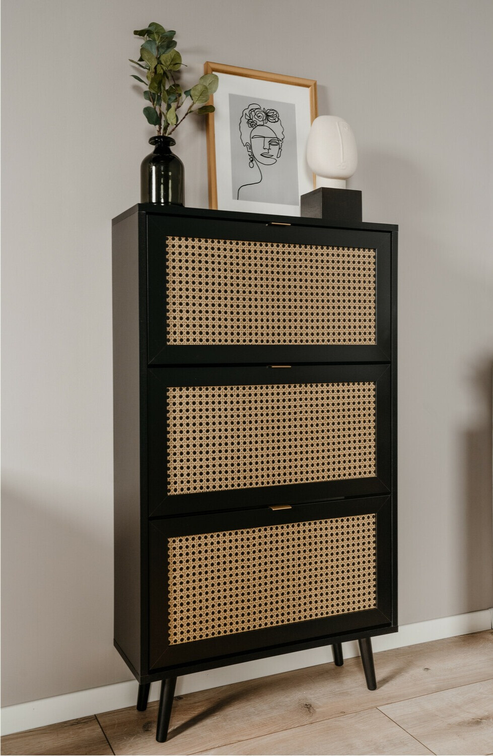 Zapatero Findlay C113