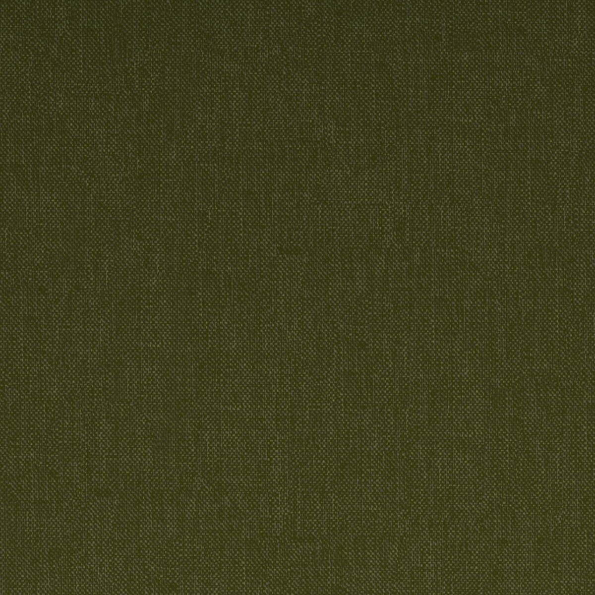 Sofá-cama Novogratz 110 (Verde)