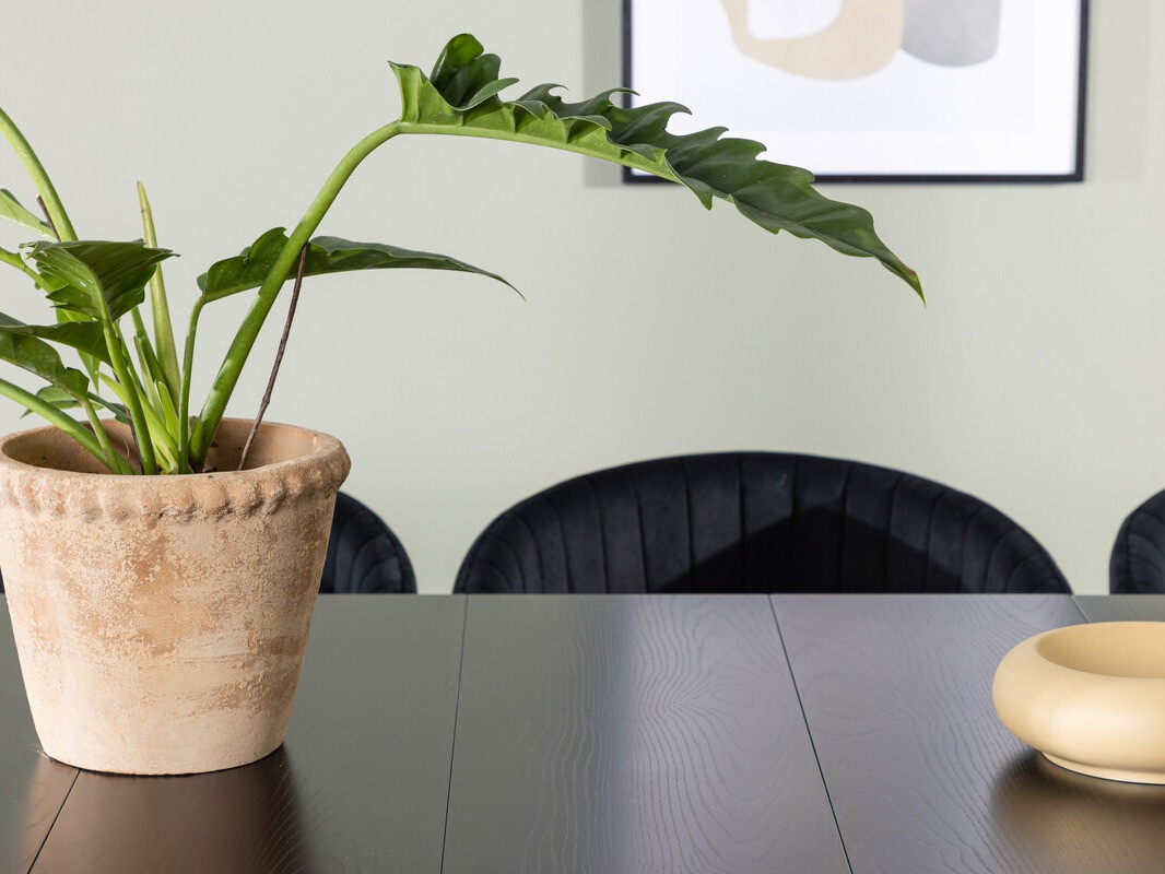 Conjunto de comedor Dallas 3966