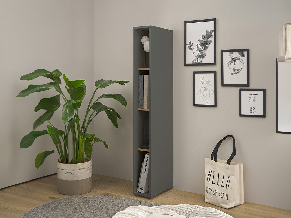 Estantería Elbsori 106 (Antracita + Roble wotan)