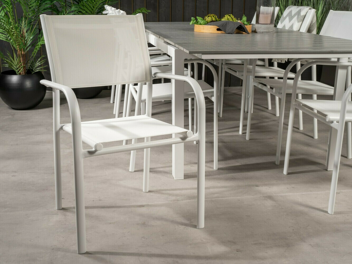 Conjunto de mesa y sillas Dallas 2412