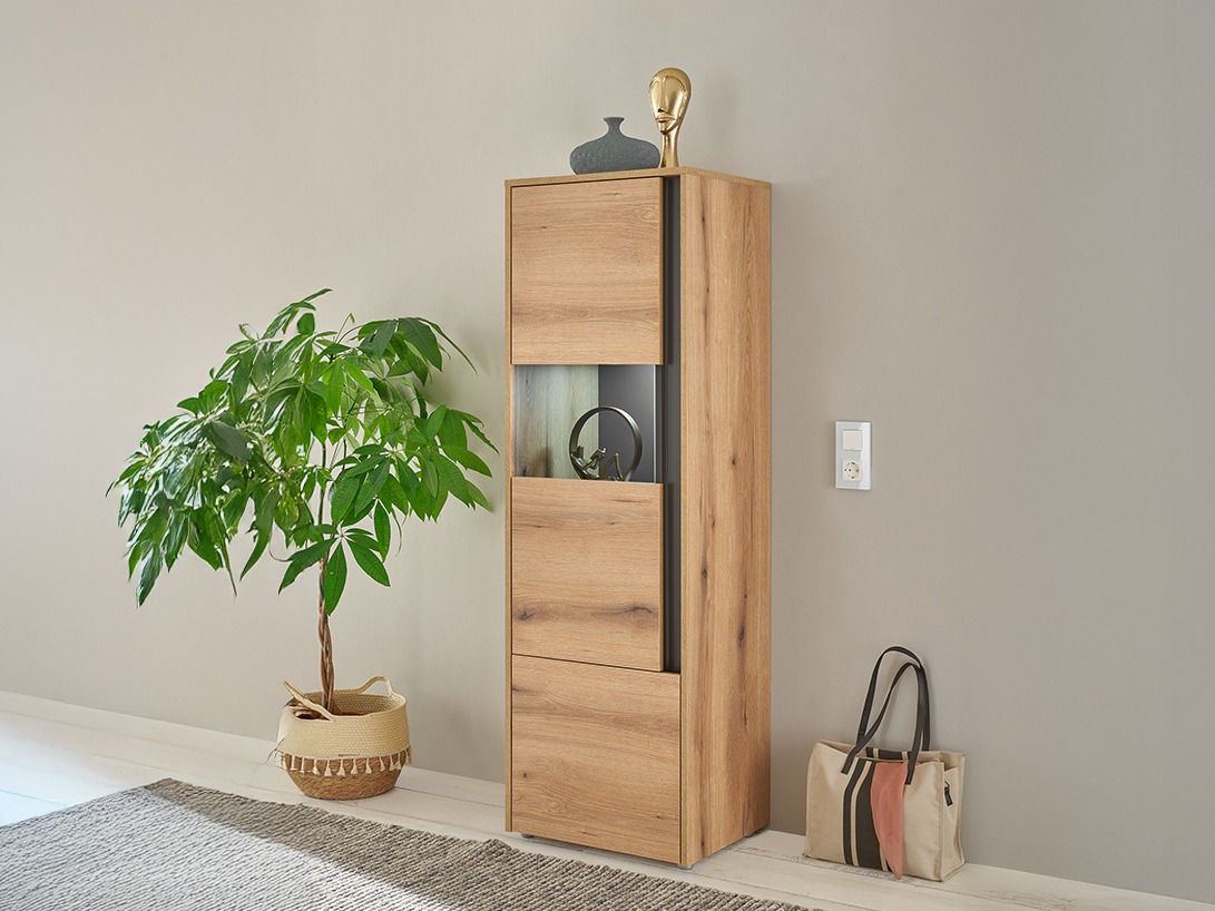 Estantería Elbsori 102 (Roble + Antracita)