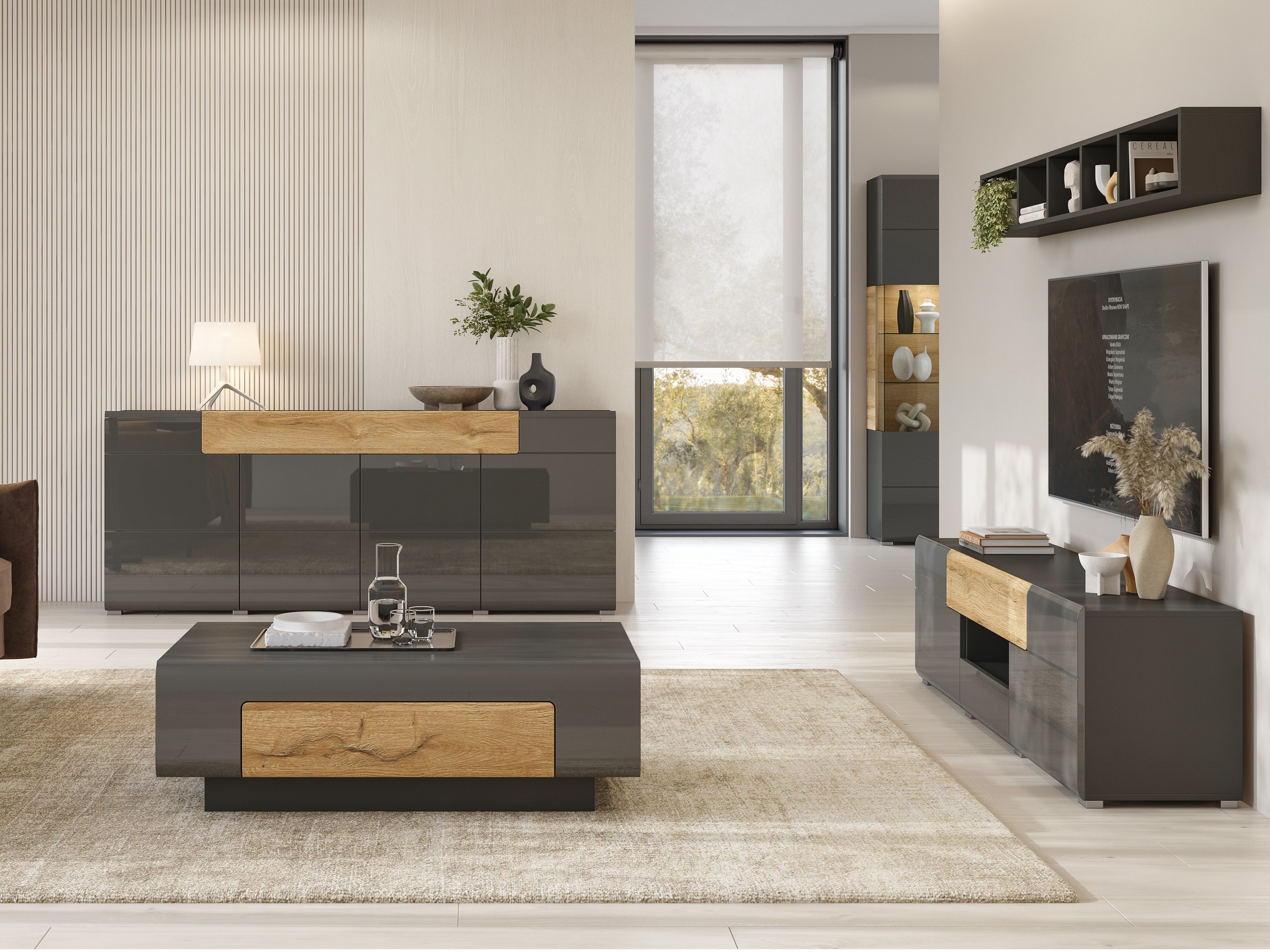 Mueble TV Torsone 101 (Antracita + Gloss antracita + Roble nieto)
