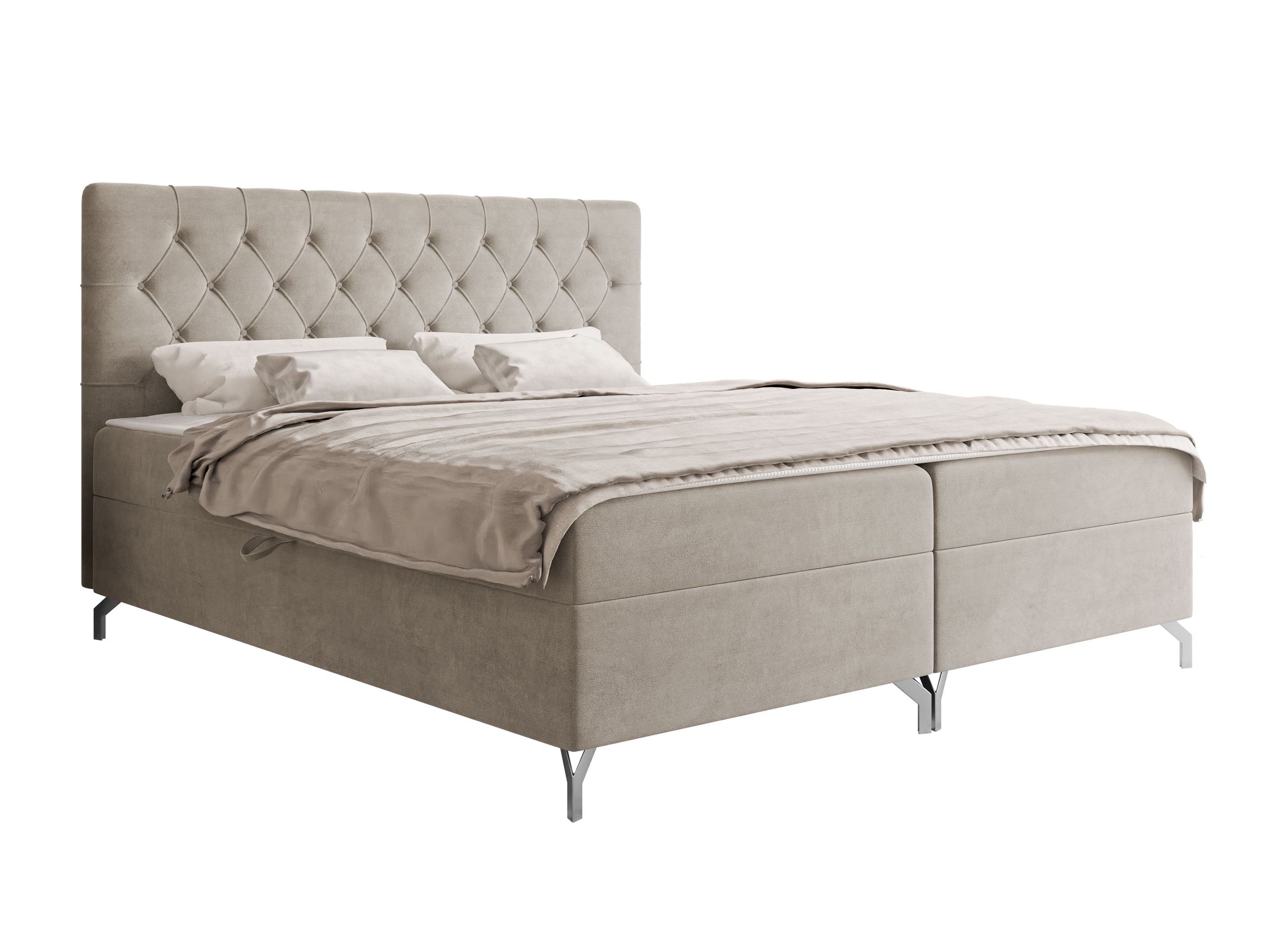Cama continental Focus (Fresh 01)