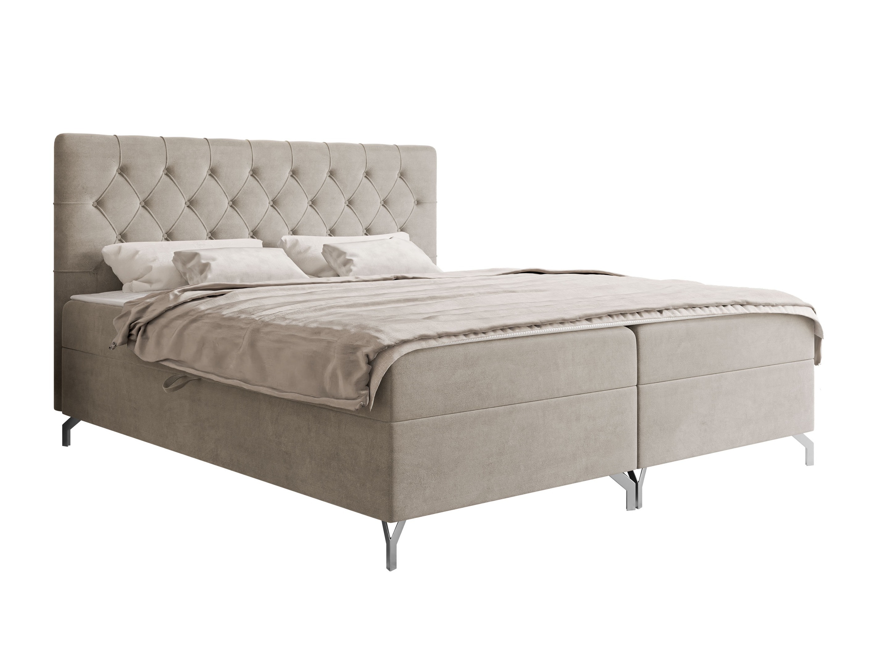 Cama continental Focus (Fresh 01)