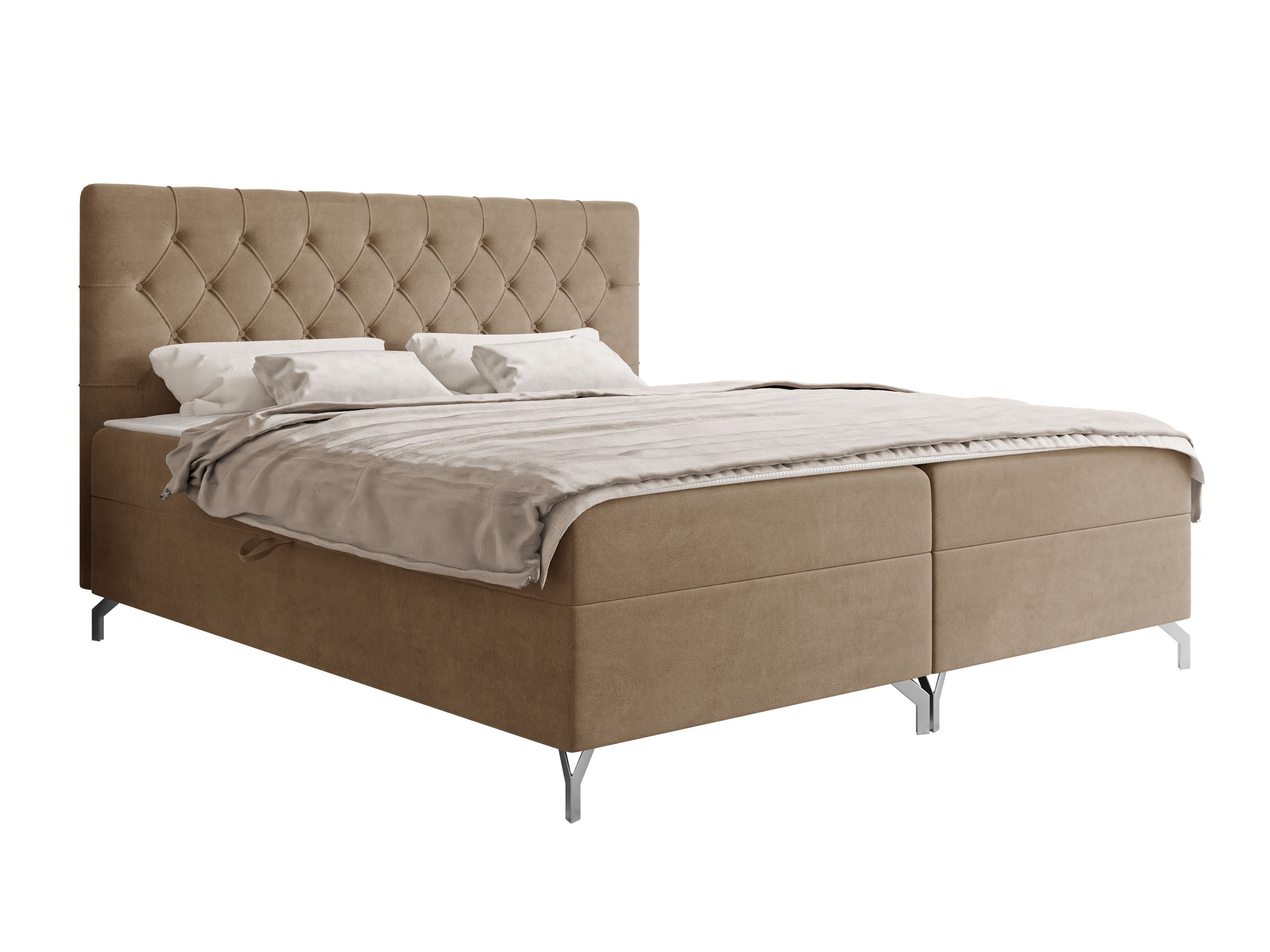 Cama continental Focus (Fresh 03)