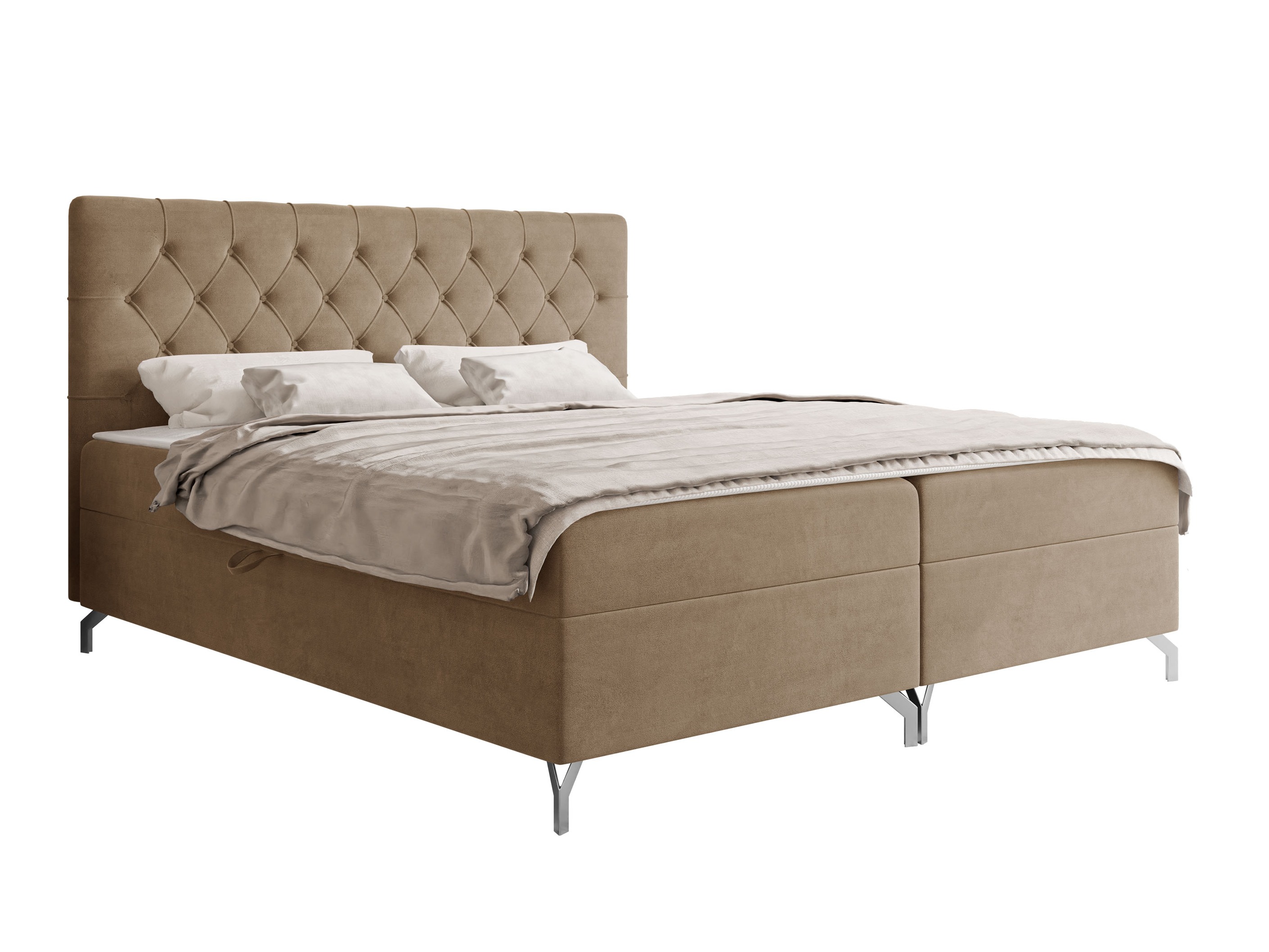 Cama continental Focus (Fresh 03)