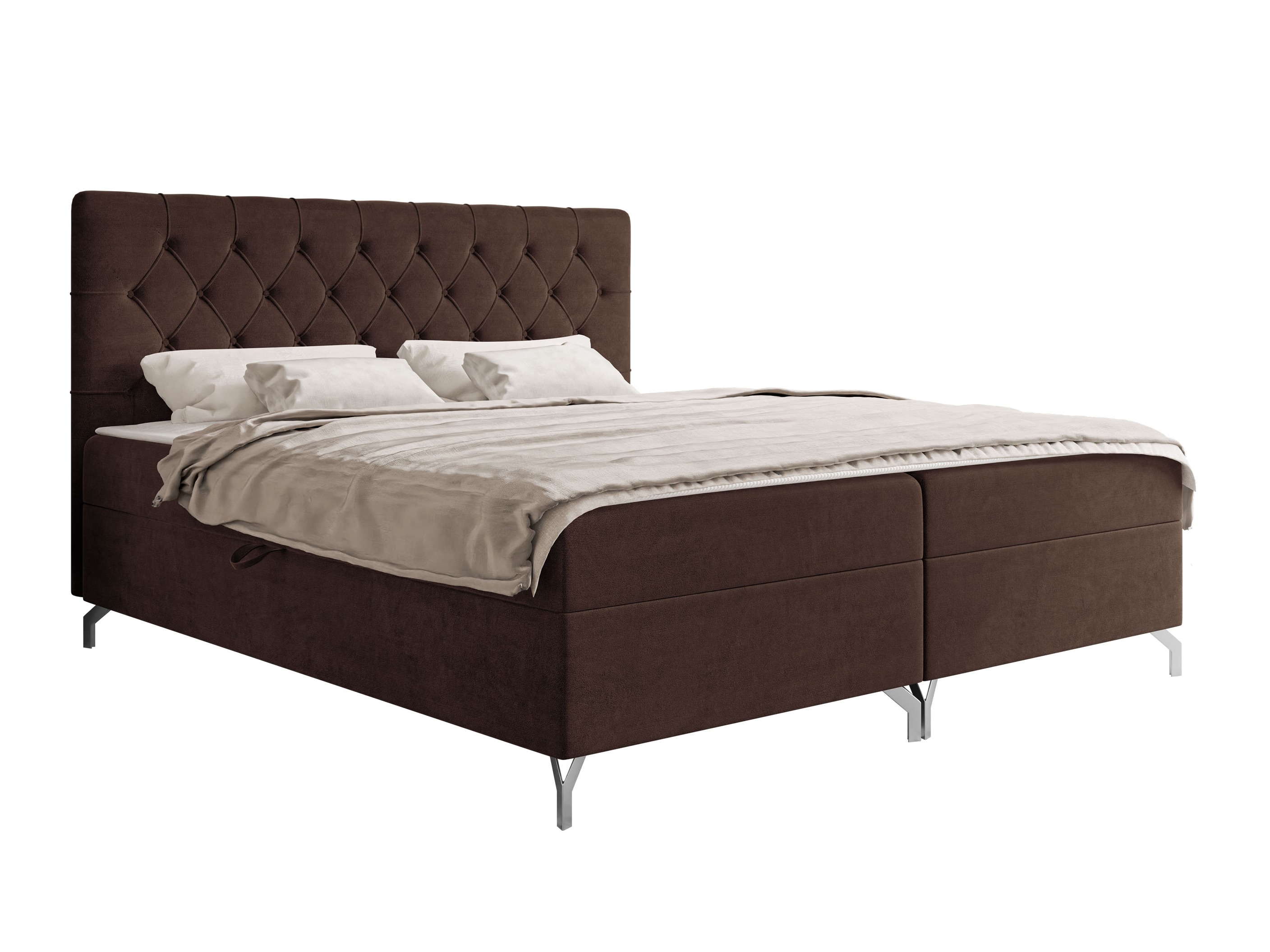 Cama continental Focus (Fresh 04)