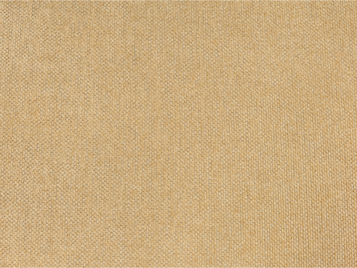 Sofá cama Boston 765 (Lotus Honey)