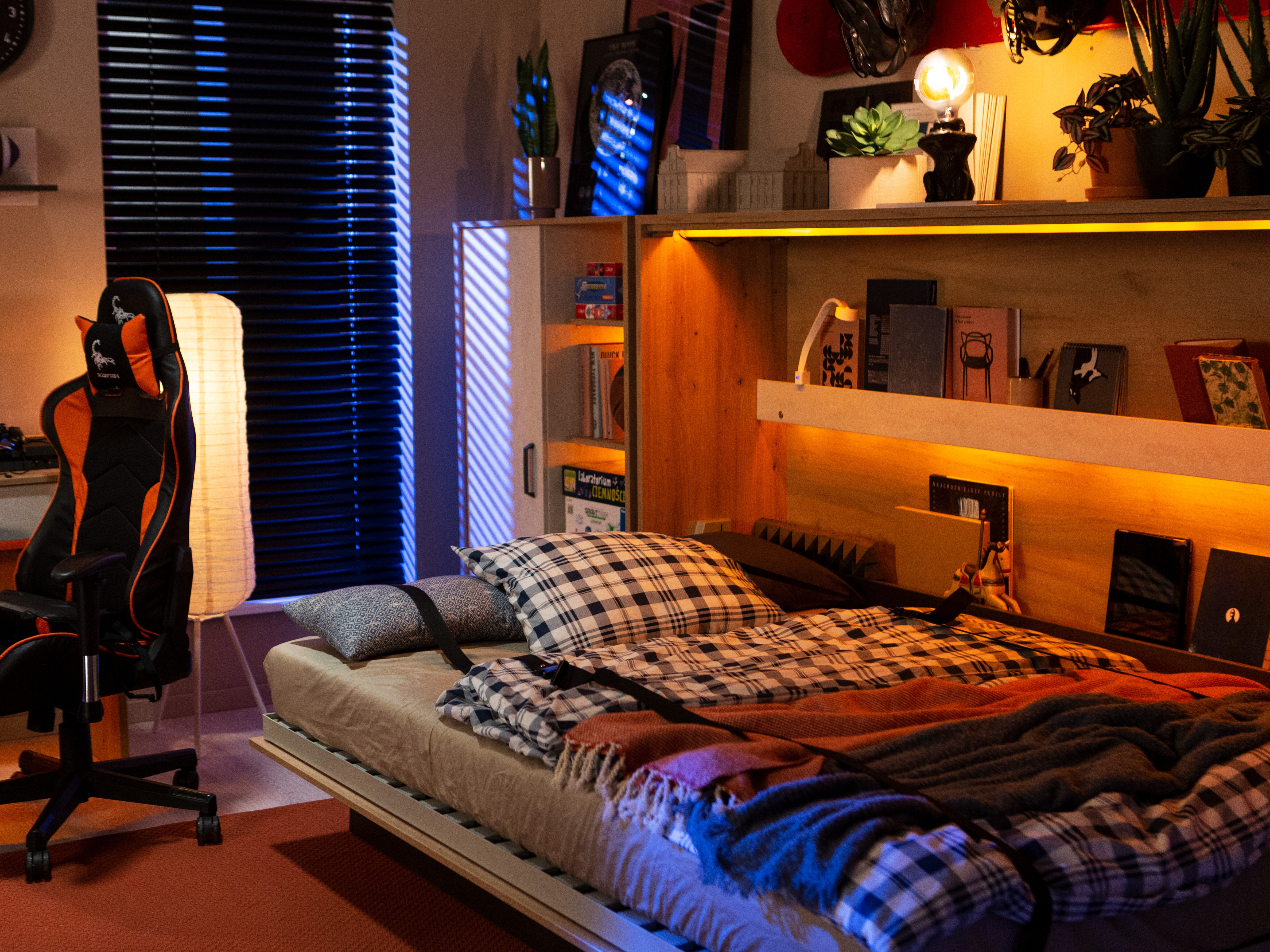 Cama plegable Concept Lenart VIII